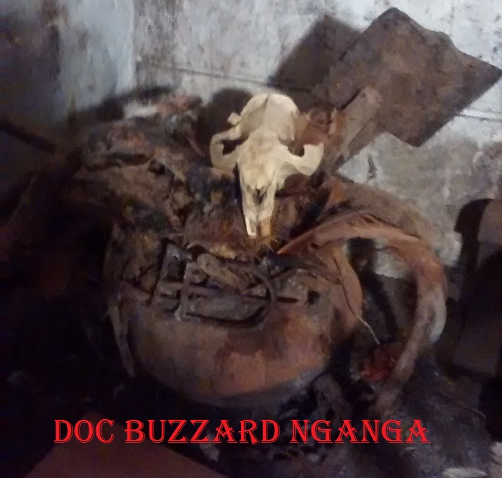 Image of Doc Buzzard Ngnaga